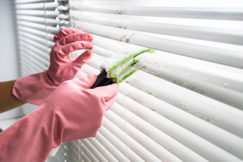 Cellular Shades Cleaning in Madison, WI