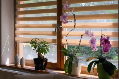 Interior Shutters Installation in Arvada, CO