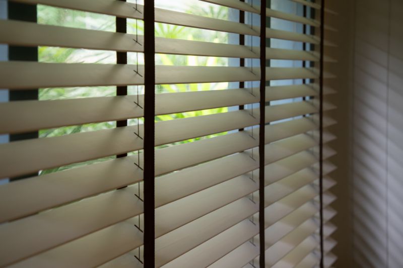Venetian Blinds Cleaning in Madison, WI