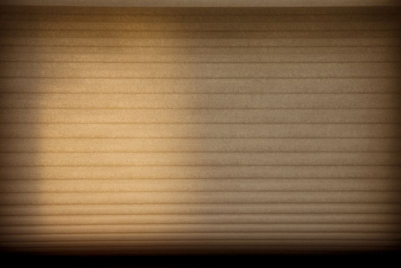Window Blinds Repair in Longmont, CO