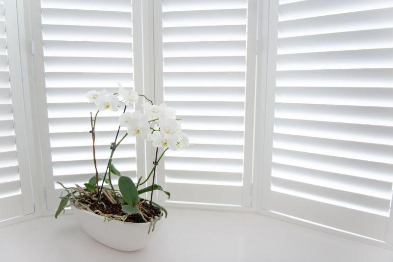 Window Shutter Installation in Midlothian, VA