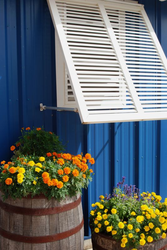 Window Shutters Replacement in Denver, CO
